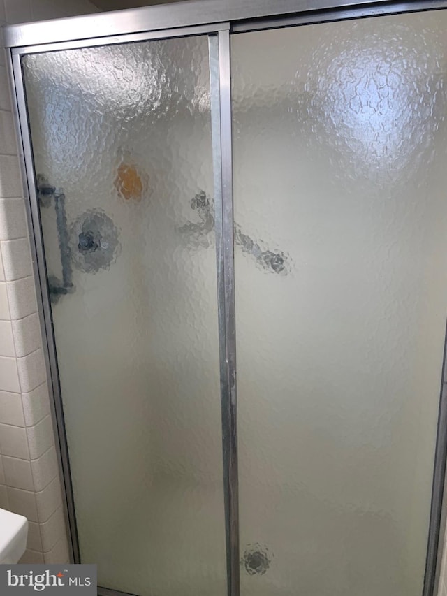 bathroom with a shower stall