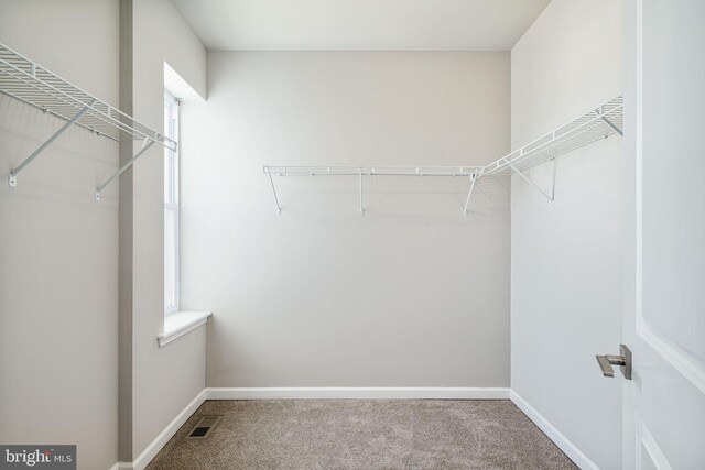 2941 Cecil B Moore Ave, Philadelphia, PA 19121 - spacious closet featuring carpet flooring