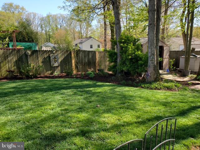 view of yard with a storage shed