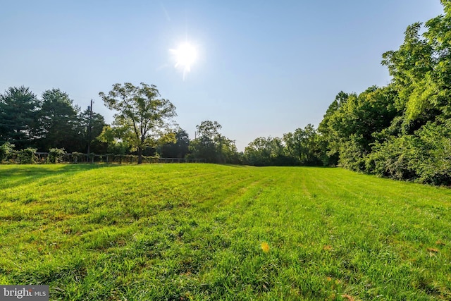 view of yard featuring a rural view