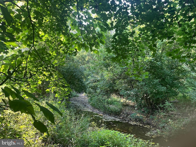 view of local wilderness featuring a water view