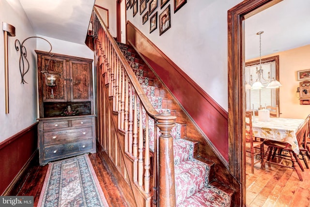 stairway with hardwood / wood-style flooring