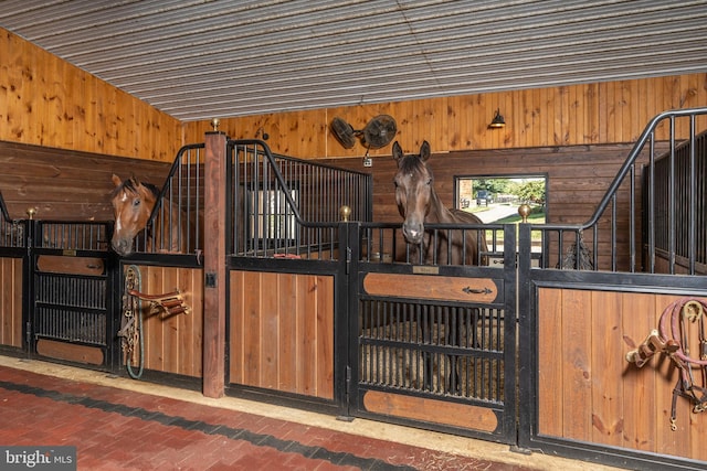 view of horse barn