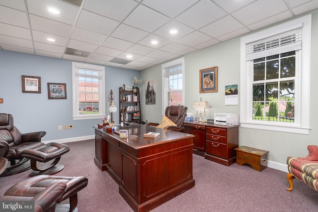 office featuring plenty of natural light, light colored carpet, and a paneled ceiling