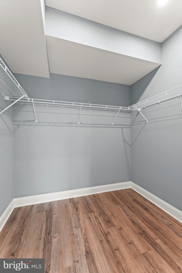 walk in closet featuring hardwood / wood-style floors