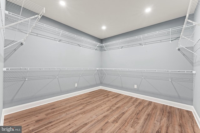 walk in closet with hardwood / wood-style floors