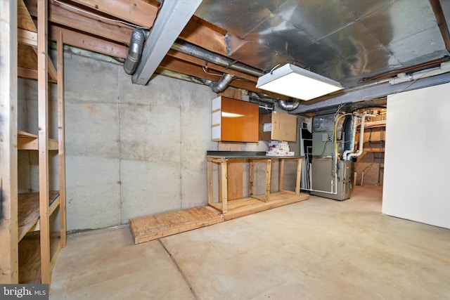 basement with heating unit