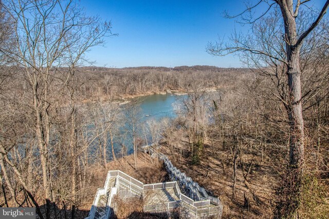 7024 Green Oak Dr, Mclean, VA 22101 - water view with a forest
