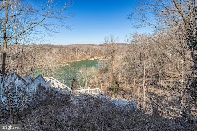 7024 Green Oak Dr, Mclean, VA 22101 - view of mountain background with a large body of water and a forest
