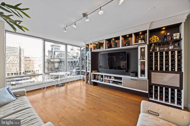 living room featuring hardwood / wood-style flooring