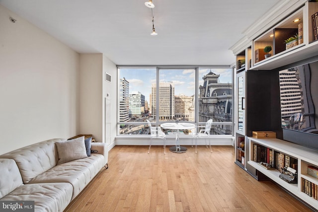 living room featuring wood-type flooring