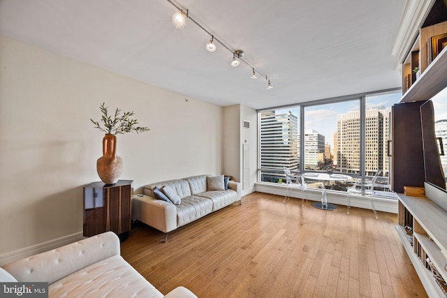 living room featuring track lighting and light hardwood / wood-style floors