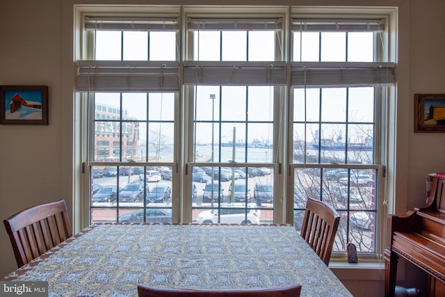 dining room with plenty of natural light