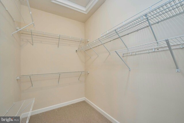 7916 Culloden Crest Ln, Gainesville, VA 20155 - spacious closet with carpet flooring