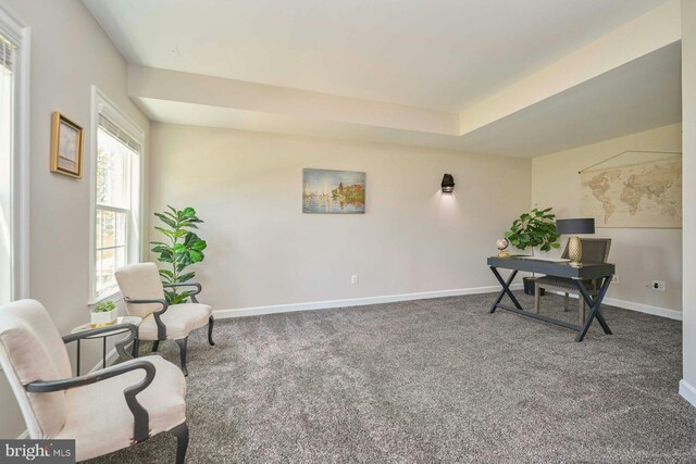 7916 Culloden Crest Ln, Gainesville, VA 20155 - carpeted office space featuring baseboards and a tray ceiling
