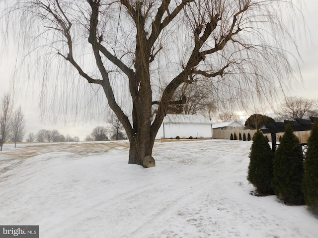 view of yard layered in snow