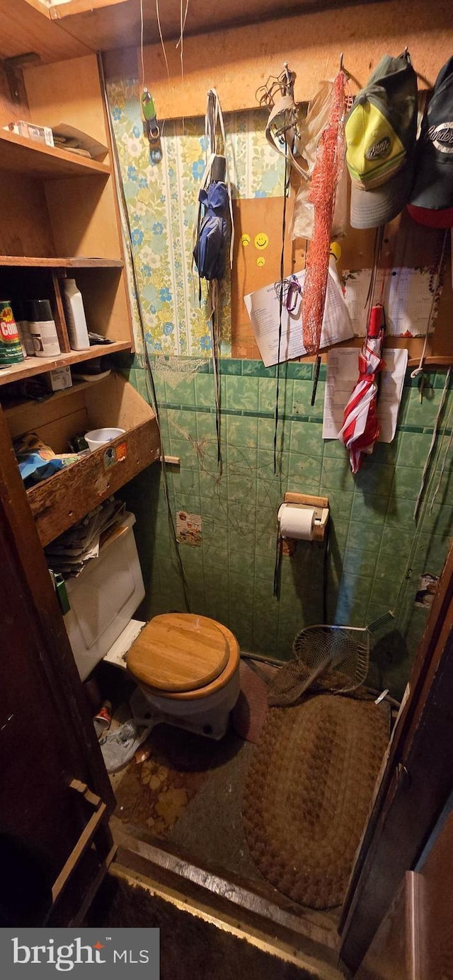 interior space with toilet