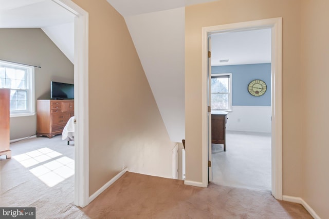 corridor with a healthy amount of sunlight, lofted ceiling, and carpet