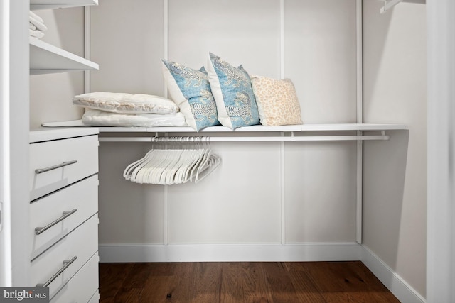 spacious closet with wood-type flooring