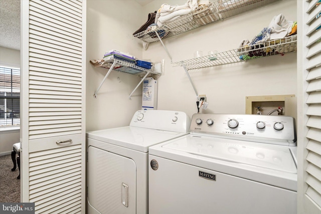 laundry area featuring washing machine and dryer and carpet floors