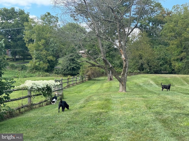 view of yard with a rural view