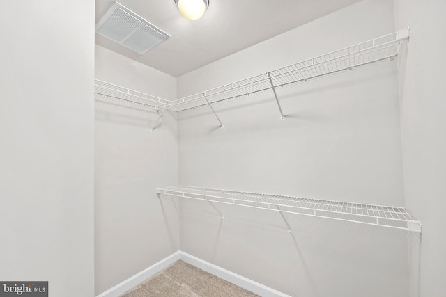 walk in closet with visible vents and carpet flooring