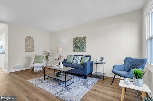 living room with light hardwood / wood-style flooring and a healthy amount of sunlight