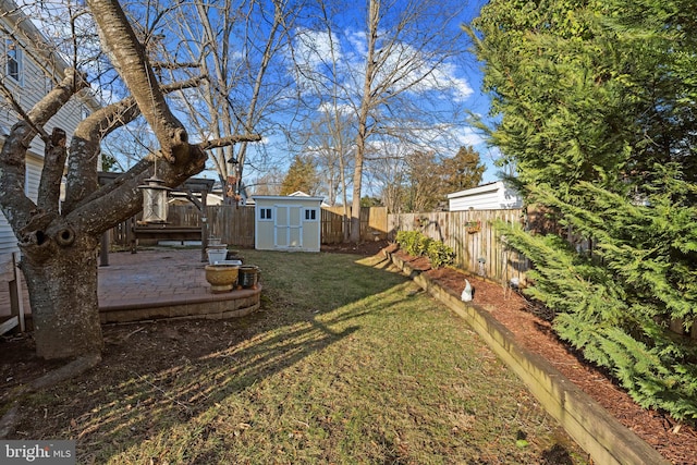 view of yard featuring a storage unit and a patio area