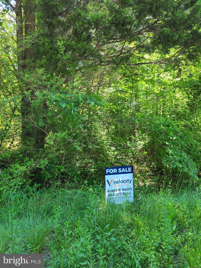 12735 Shiloh Church Rd, Newburg MD, 20664 land for sale