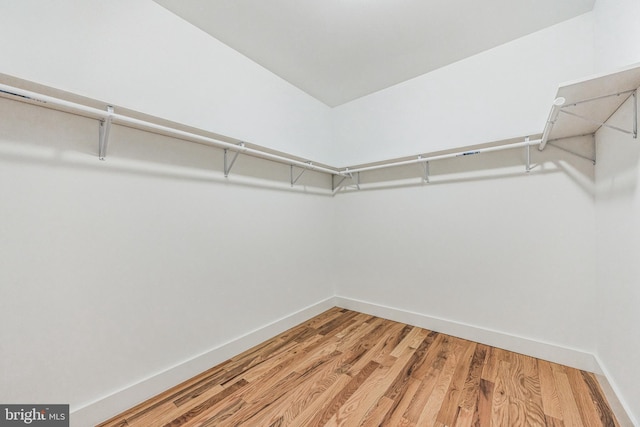 spacious closet featuring wood-type flooring