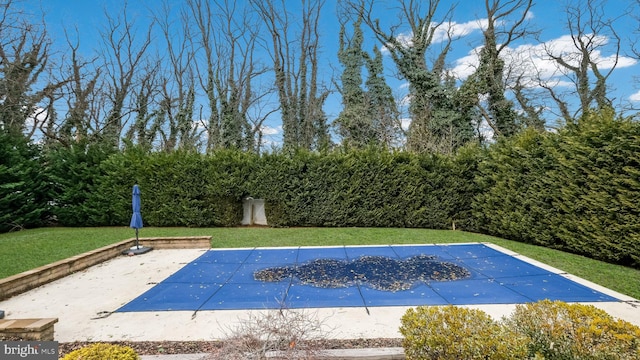 view of swimming pool featuring a lawn