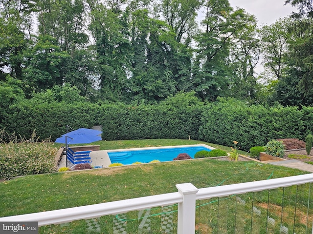 view of pool with a lawn