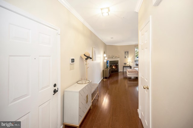 corridor featuring ornamental molding and dark hardwood / wood-style floors