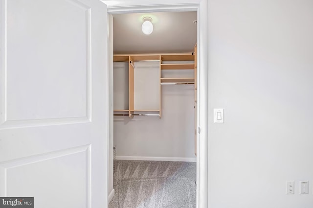 spacious closet with carpet