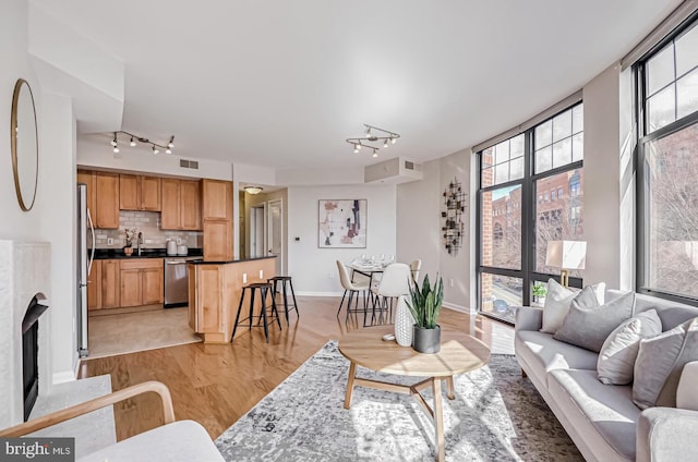 living room featuring floor to ceiling windows, rail lighting, sink, and light wood-type flooring