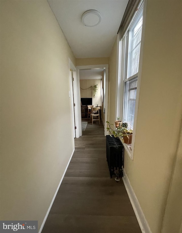 hallway featuring dark wood-type flooring and radiator heating unit