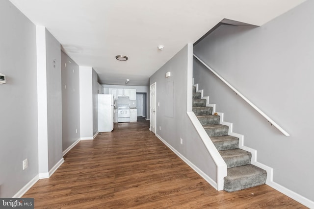 staircase featuring wood-type flooring