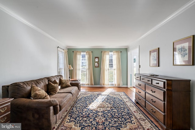 living room with crown molding and light hardwood / wood-style flooring