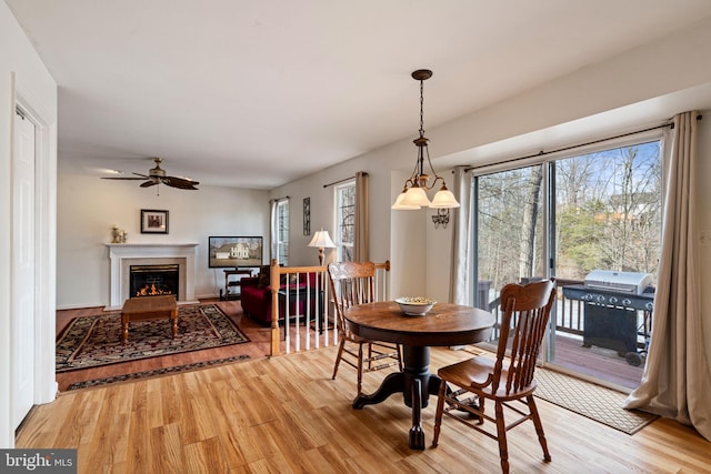 dining area featuring hardwood / wood-style flooring and ceiling fan