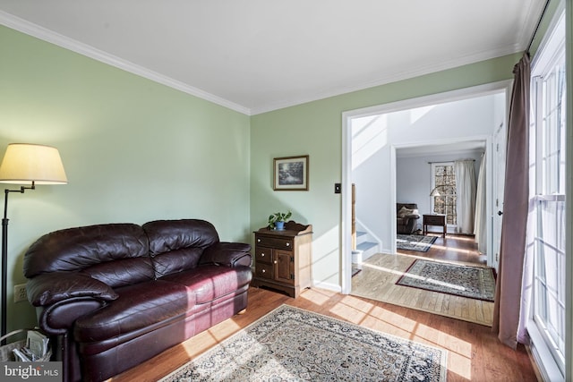 living room featuring wood-type flooring and ornamental molding