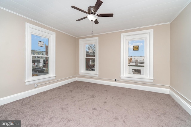 unfurnished room featuring ceiling fan, ornamental molding, and carpet flooring