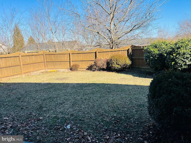 view of yard with a fenced backyard