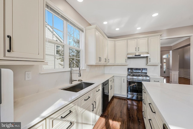 kitchen with dark wood-type flooring, ornamental molding, appliances with stainless steel finishes, and sink