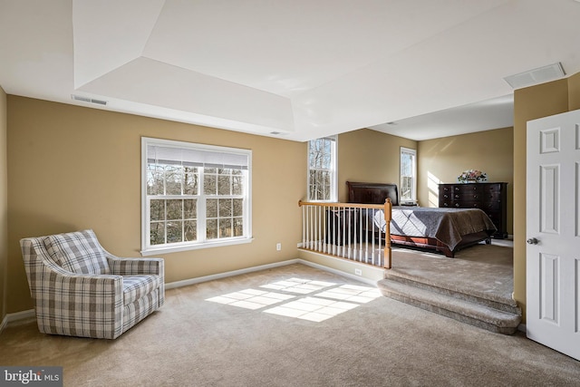 carpeted bedroom with a tray ceiling and multiple windows