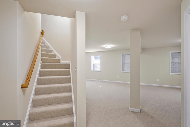 stairway with carpet flooring