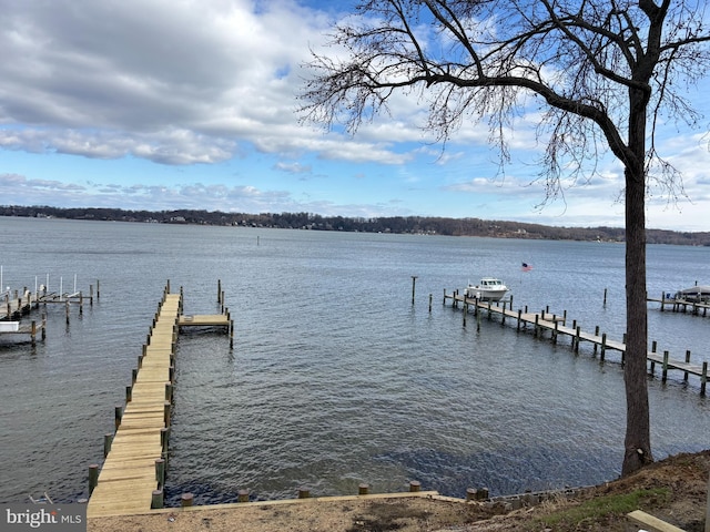 dock area featuring a water view