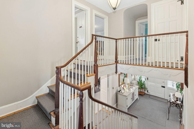 staircase with carpet flooring