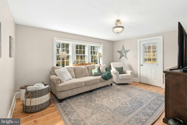 living room featuring wood-type flooring