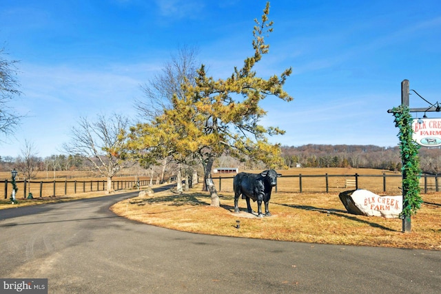 view of road with a rural view