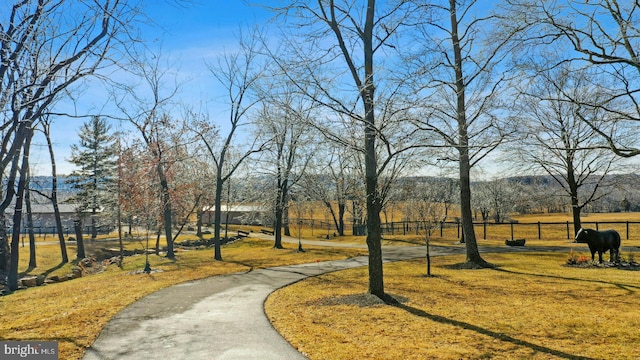 surrounding community featuring a lawn